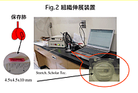Fig2.組織伸縮装置