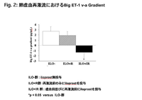 Fig.2:肺虚血再灌流におけるBig ET-1 v-a Gradient　図